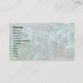 Ferns in Philadelphia Visitekaartje (Voorkant)