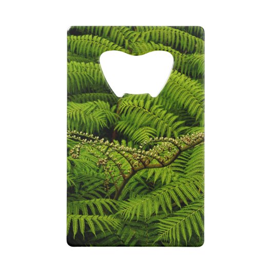 Ferns - Kunstfoto Creditkaart Flessenopener (Voorkant)