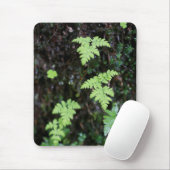 Ferns - muismat (Met muis)