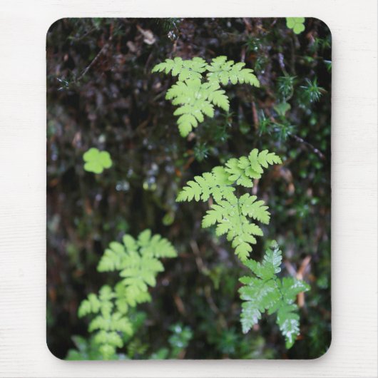 Ferns - muismat (Voorkant)