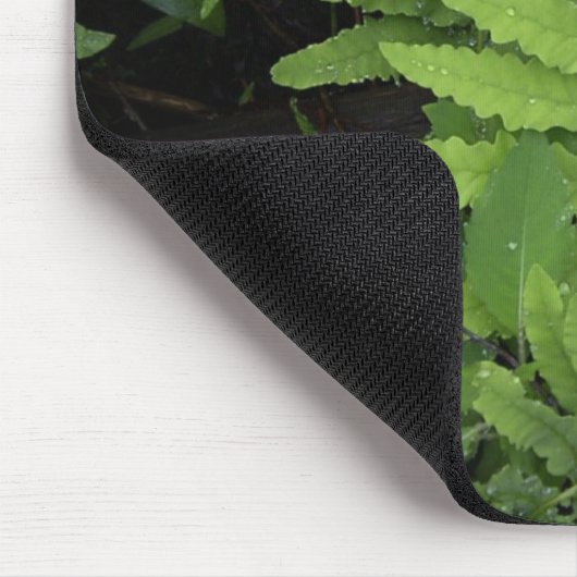 Ferns Muismat (Hoek)