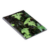 Ferns - notitieboek (Rechterzijde)