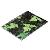 Ferns - notitieboek (Linkerzijde)