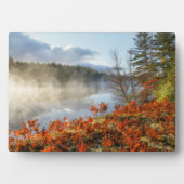 Ferns op Shoreline | Paradise, Michigan Fotoplaat (voorkant)