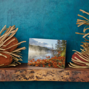 Ferns op Shoreline Paradise, Michigan Fotoplaat