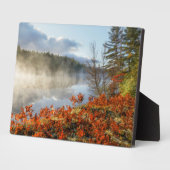 Ferns op Shoreline | Paradise, Michigan Fotoplaat (Zijkant)