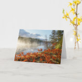 Ferns op Shoreline | Paradise, Michigan Kaart (Gele Bloem)