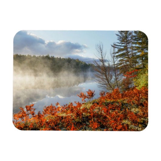 Ferns op Shoreline | Paradise, Michigan Magneet (Horizontaal)