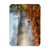 Ferns op Shoreline | Paradise, Michigan Magneet (Verticaal)