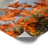 Ferns op Shoreline | Paradise, Michigan Poster (Hoek)