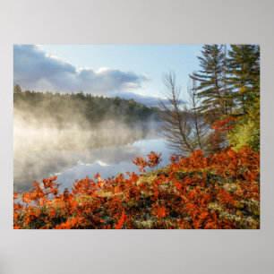 Ferns op Shoreline Paradise, Michigan Poster