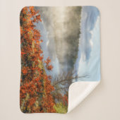 Ferns op Shoreline | Paradise, Michigan Sherpa Deken (Voorkant)