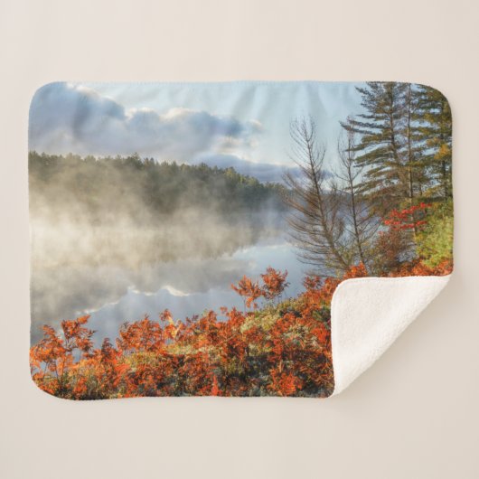 Ferns op Shoreline | Paradise, Michigan Sherpa Deken (Voorkant (horizontaal))