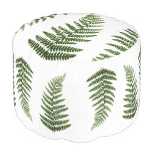 Ferns