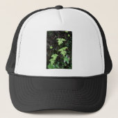Ferns - trucker pet (Voorkant)