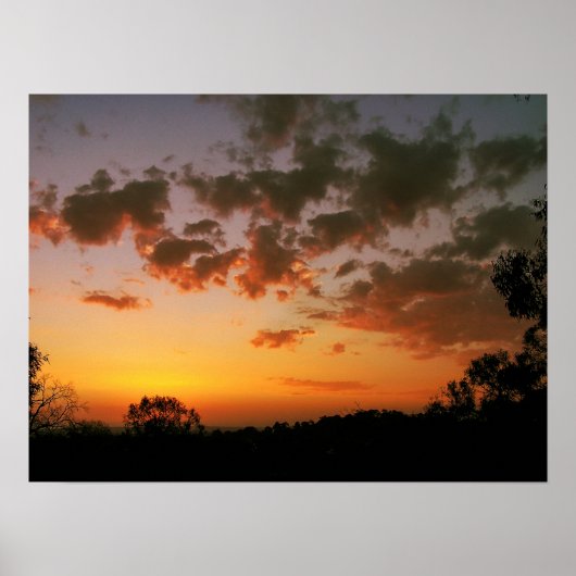 Ferntree Gully Skyscapes Poster (Voorkant)