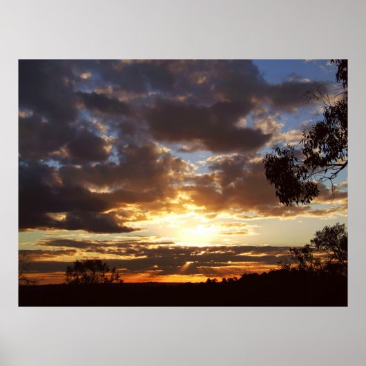 Ferntree Gully Sunset Poster (Voorkant)
