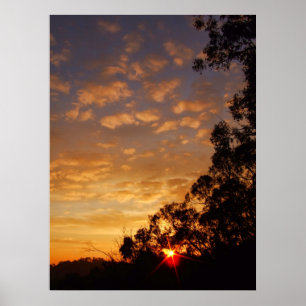 ferntree gully sunset Poster