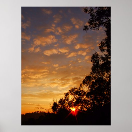 ferntree gully sunset Poster (Voorkant)