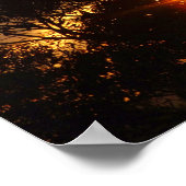 ferntree gully zon schittering Poster (Hoek)