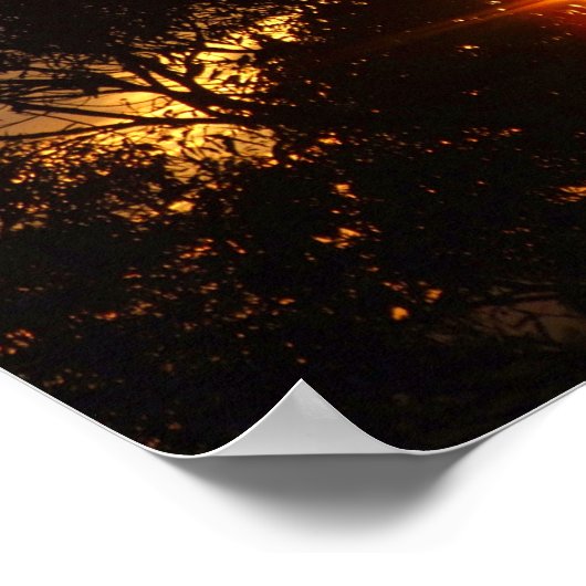 ferntree gully zon schittering Poster (Hoek)