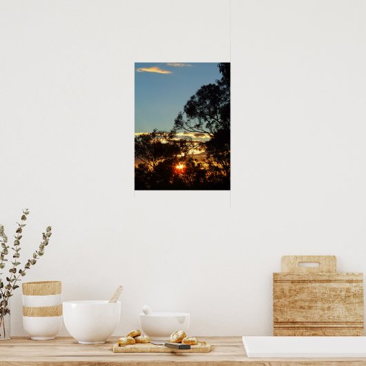 ferntree gully zon schittering Poster (Keuken)