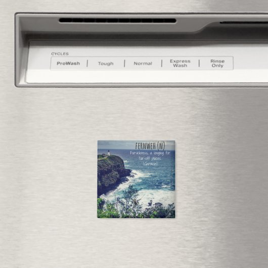 Fernweh Magnet (Insitu (Vaatwasser))