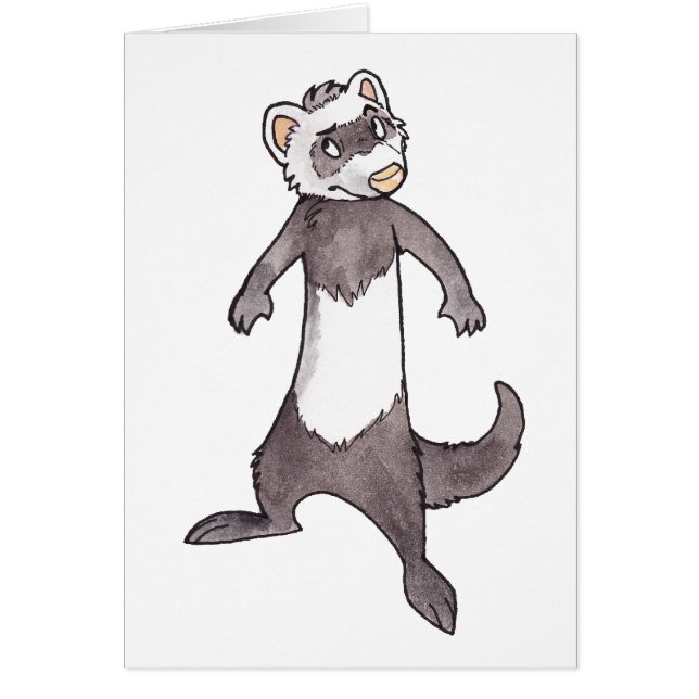 Ferret (Voorkant)