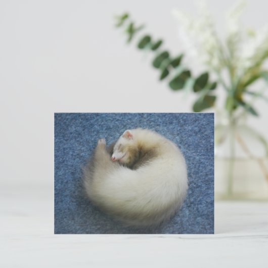 Ferret 4 briefkaart (Staand voorkant)