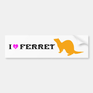 Ferret (5) bumpersticker