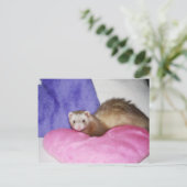 Ferret 8 briefkaart (Staand voorkant)