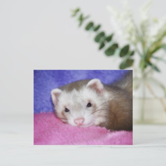 Ferret 9 briefkaart (Staand voorkant)