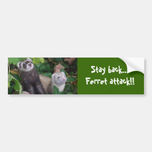 Ferret-aanval Bumpersticker