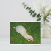 Ferret Briefkaart (Staand voorkant)
