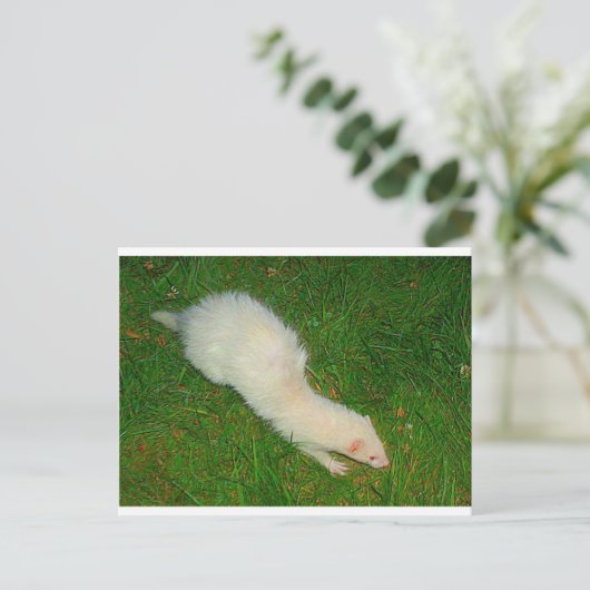 Ferret Briefkaart (Staand voorkant)