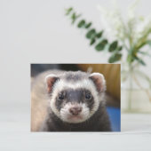 Ferret Briefkaart (Staand voorkant)
