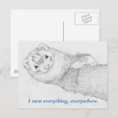 Ferret Briefkaart - Pandora Owns (Voorkant / Achterkant)