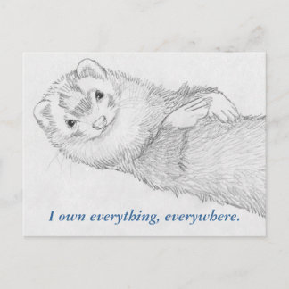 Ferret Briefkaart - Pandora Owns