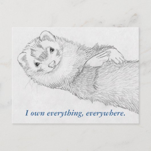 Ferret Briefkaart - Pandora Owns (Voorkant)
