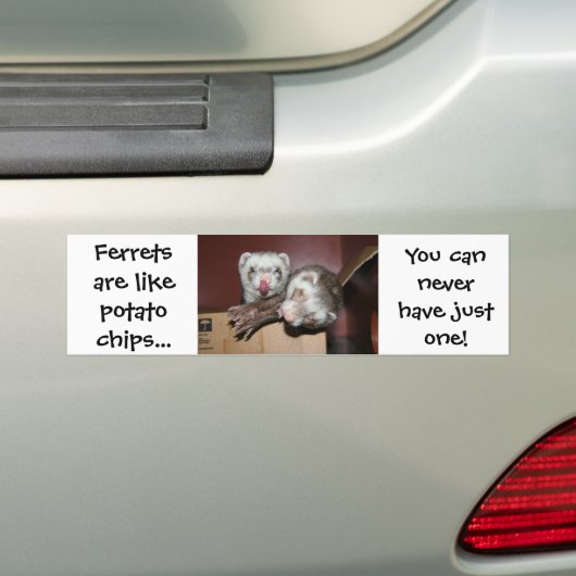 Ferret Bumpersticker (Op auto)