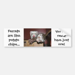Ferret Bumpersticker