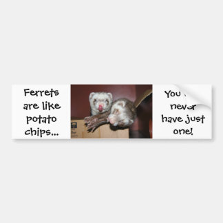 Ferret Bumpersticker