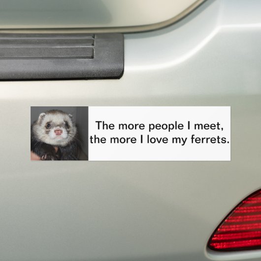 Ferret Bumpersticker (Op auto)