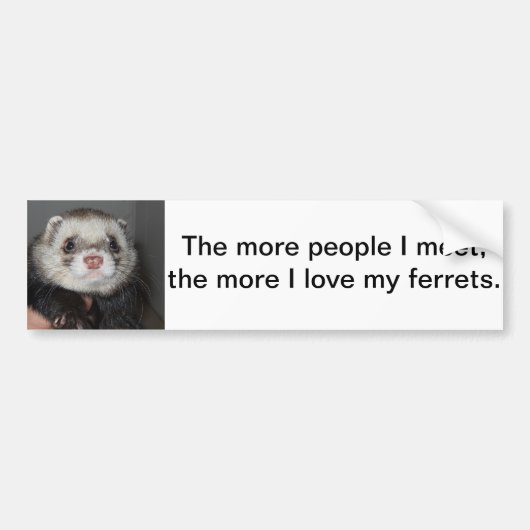 Ferret Bumpersticker (Voorkant)
