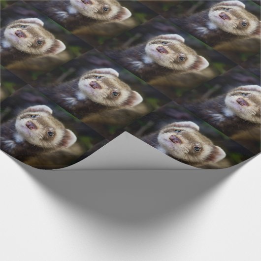 Ferret Cadeaupapier (Hoek)