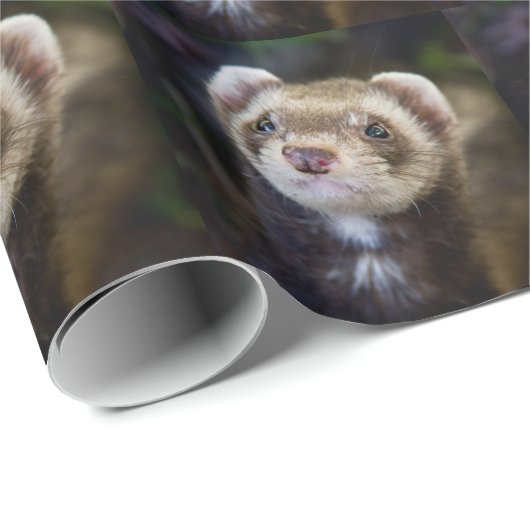 Ferret Cadeaupapier (Rol Hoek)