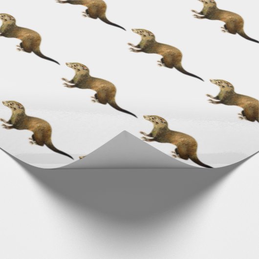 FERRET CADEAUPAPIER (Hoek)
