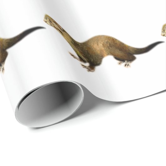 FERRET CADEAUPAPIER (Rol Hoek)
