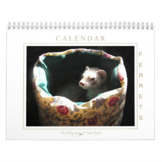 Ferret Calendar 1st Edition Kalender