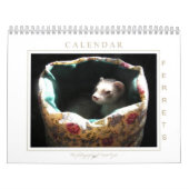 Ferret Calendar 1st Edition Kalender (Hoes)